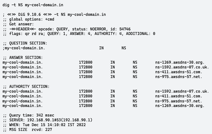 dig_ns_output